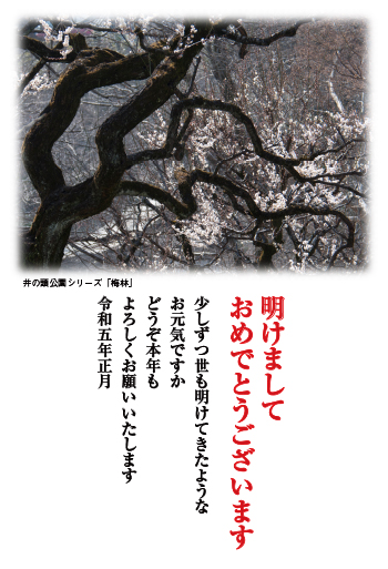 梅