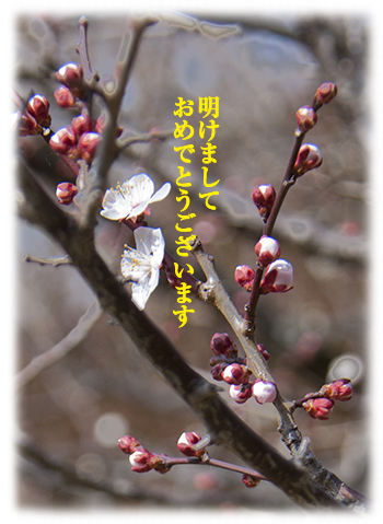 正月